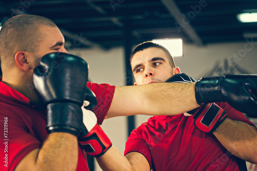Two Male Sparring © Dangubic