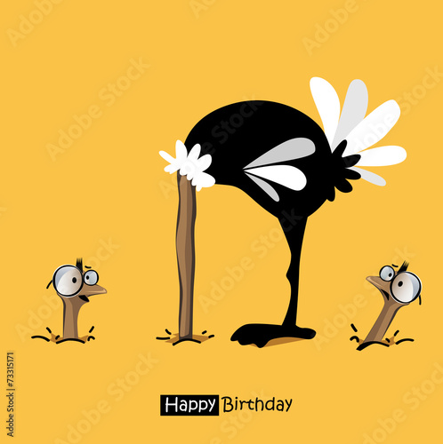 Happy Birthday birds smile birds ostrich