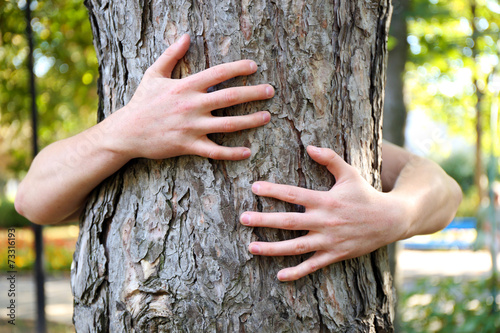 Valokuvatapetti Person hugs trunk large tree, close-up