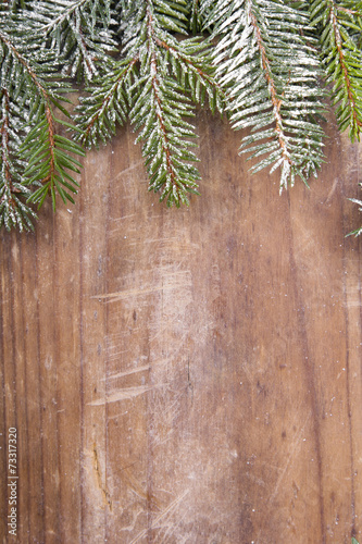 fir branches on a brown wooden background