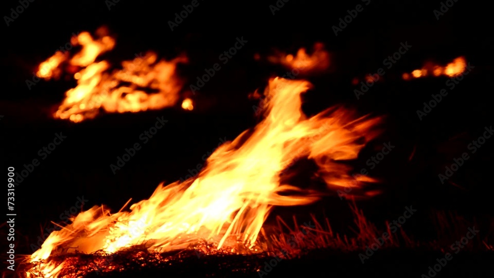 Real Burn fire with wood and legs Real Burn fire with wood and legs