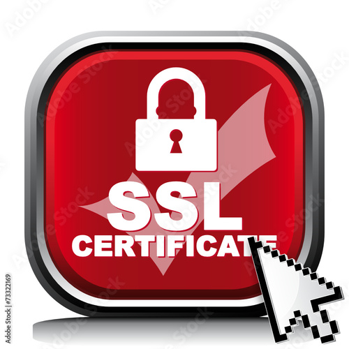 SSL CERTIFICATE ICON