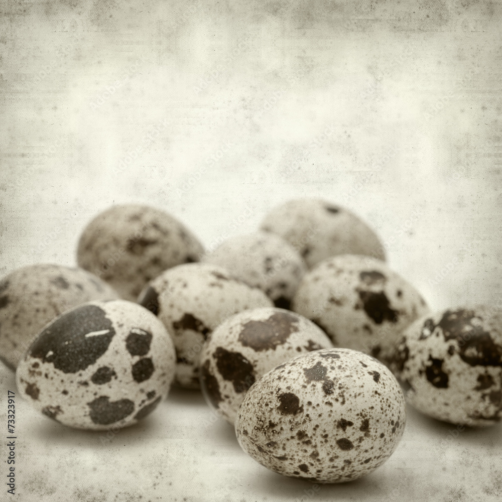 Obraz premium textured old paper background