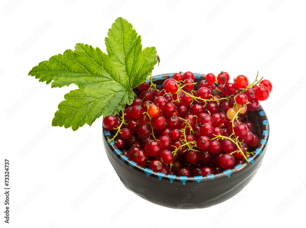 Red currant Red currant