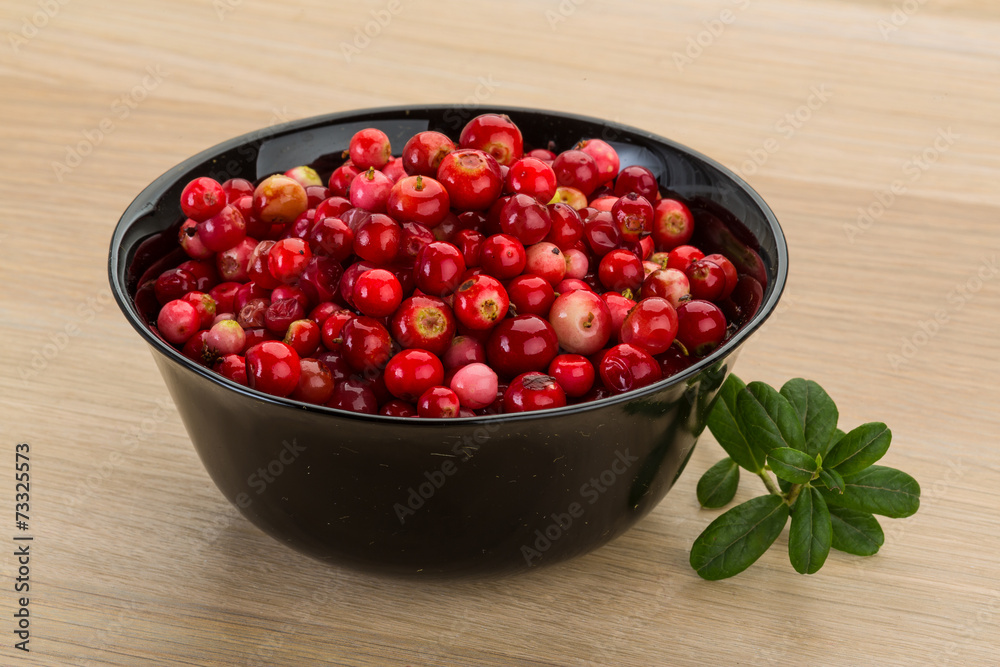 Cowberry Cowberry