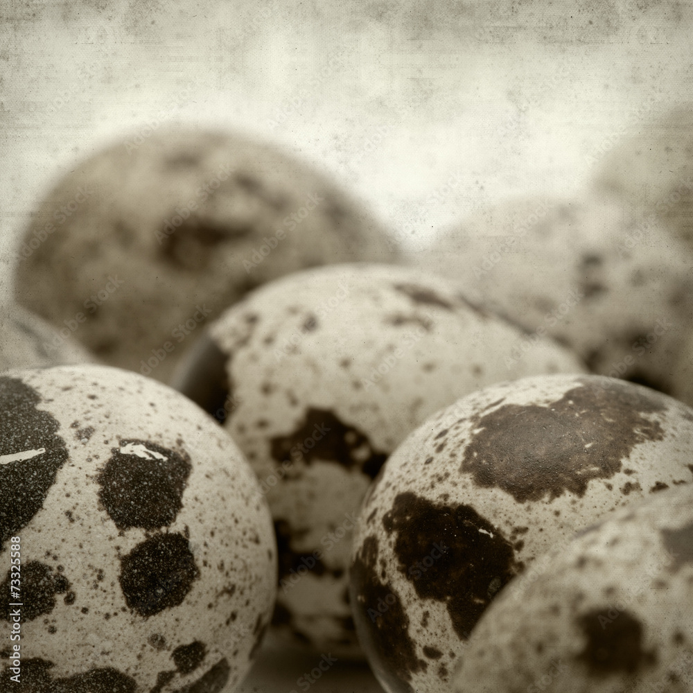 Obraz premium textured old paper background