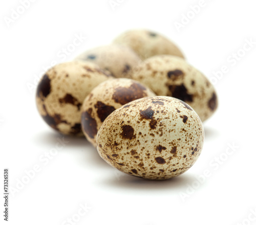 quail eggs isolated on white