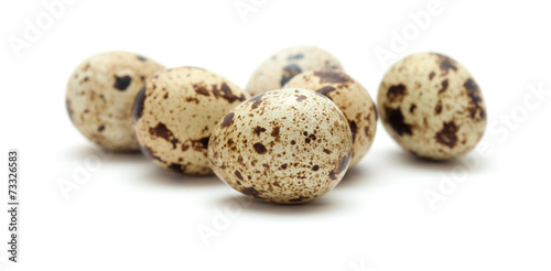 quail eggs isolated on white