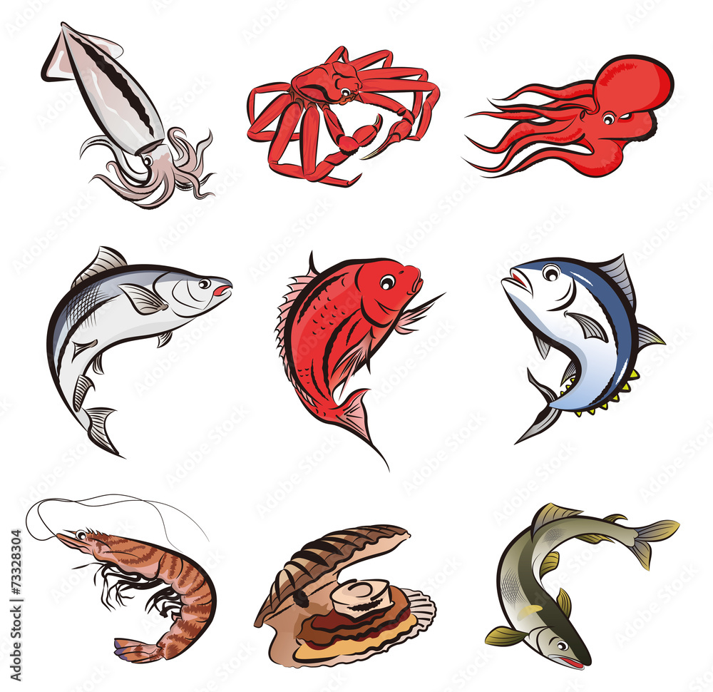 Fototapeta premium 魚いろいろ