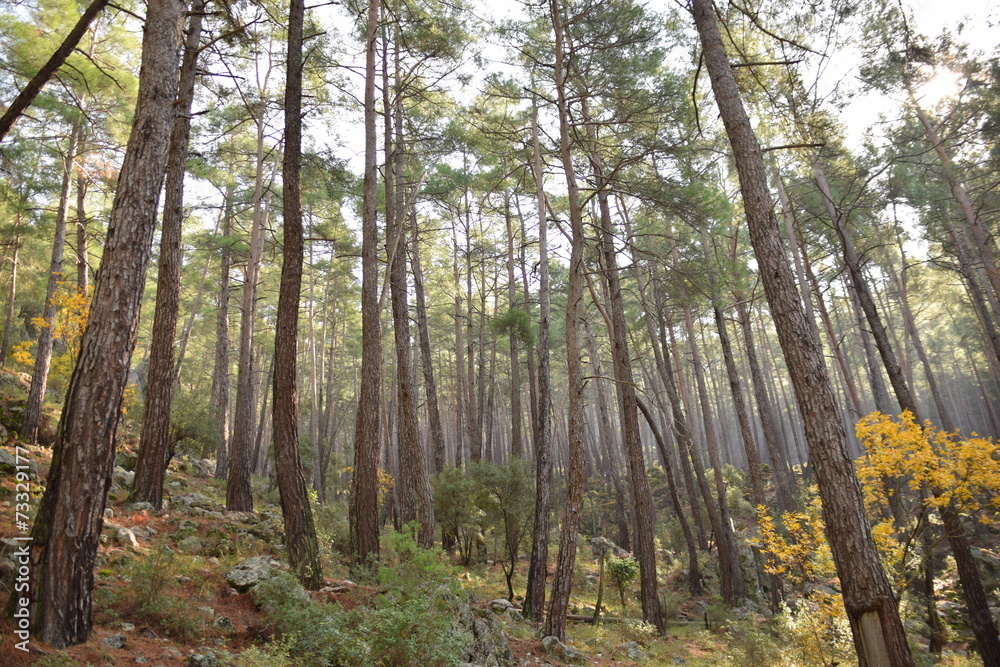 Yazılı Kanyon Yazılı Kanyon