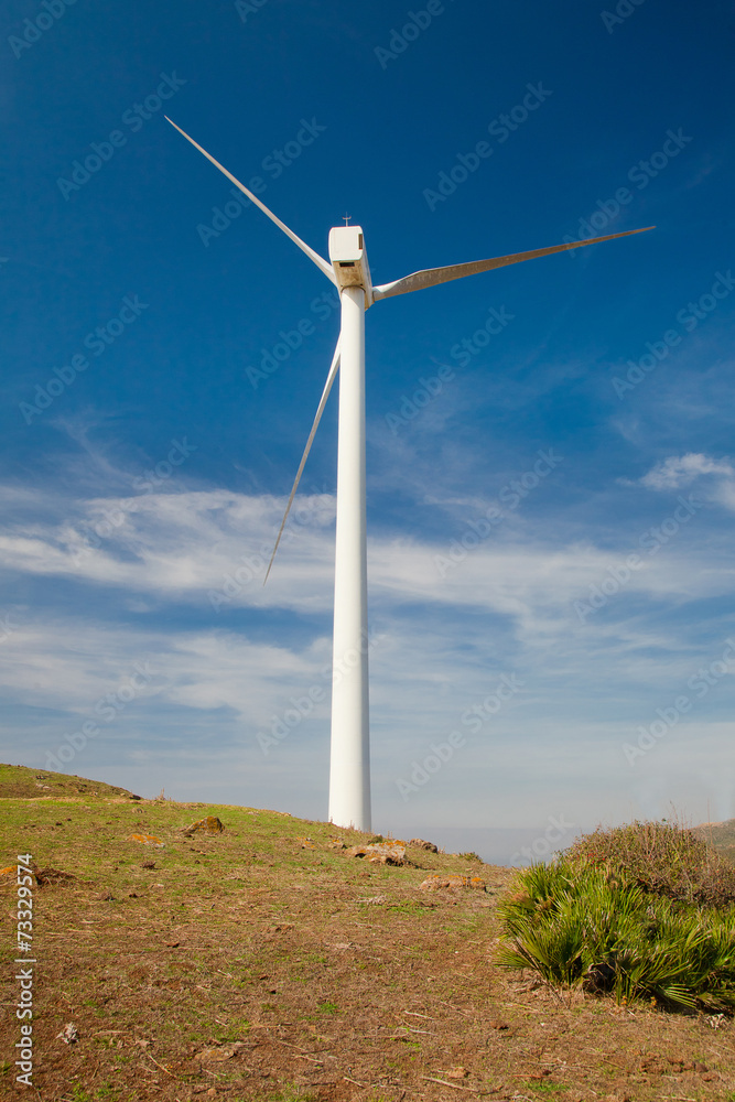 Single windmill Single windmill
