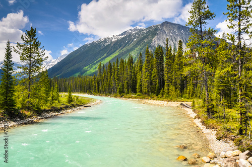 Vermilion river at Kootenay national park in Canada