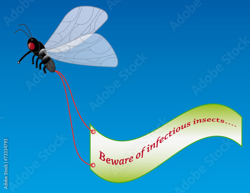 Fly with advertising banner
