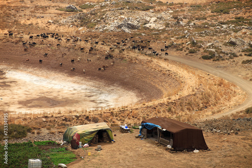 Goats and Tents