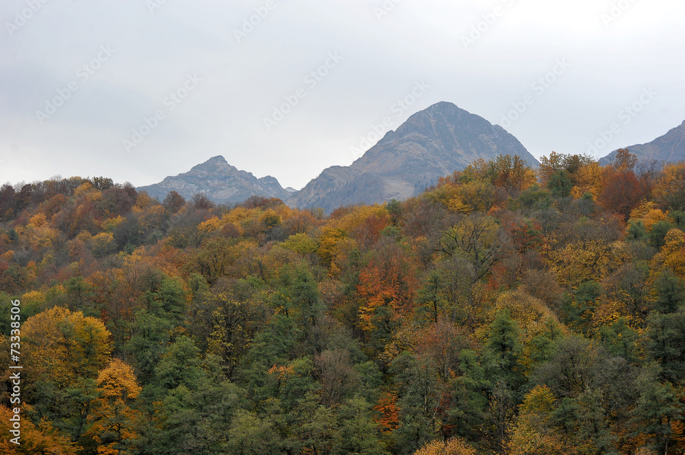 autumn forest and mountain views in Rosa Khutor, Sochi, Russia