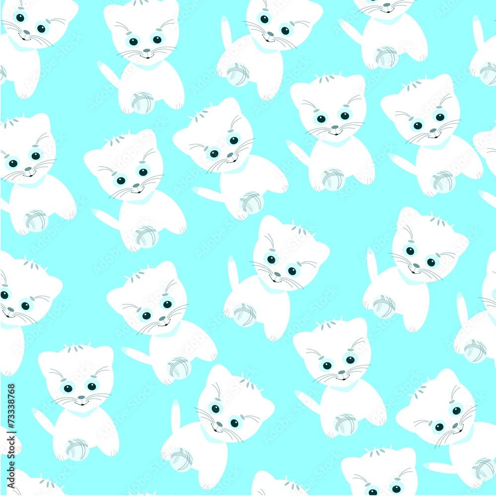 kitten kitten