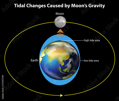Tidal changes