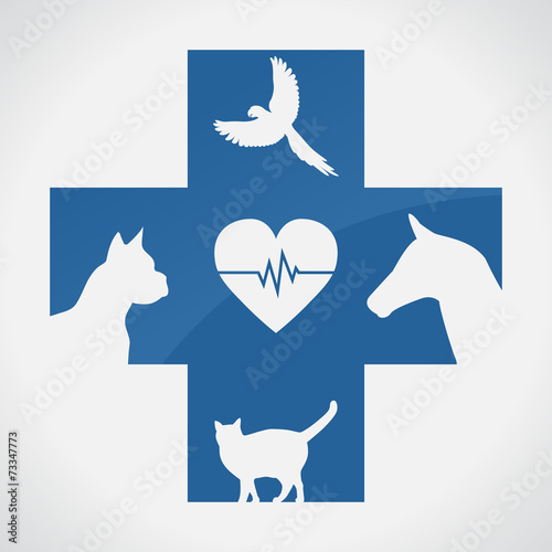 Veterinary sign. Cat Dog Bird Horse