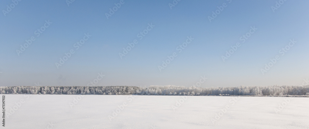 Winter landscape with snow