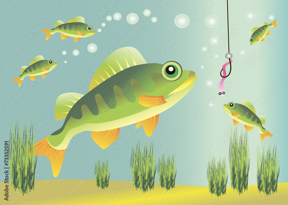 fish fish