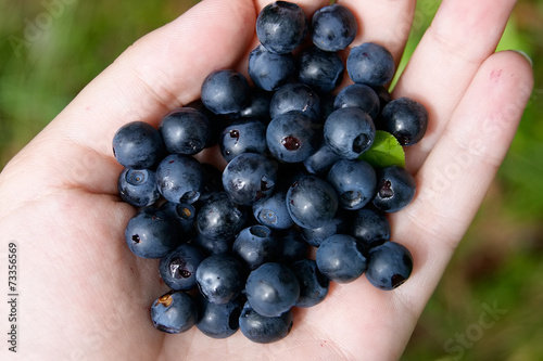 Tasty ripe blueberries