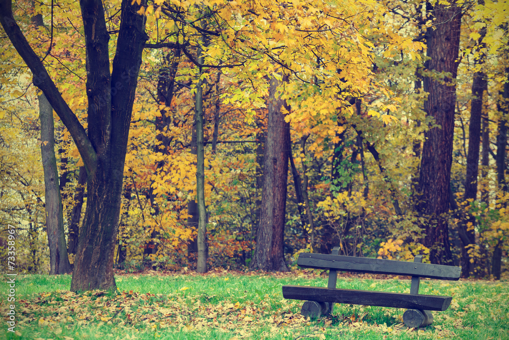 bench in the autumn park, vintage look