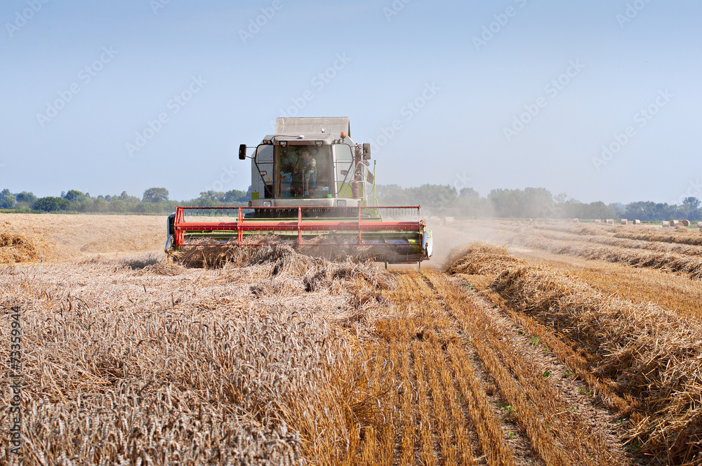 Obraz premium kombajn w polu