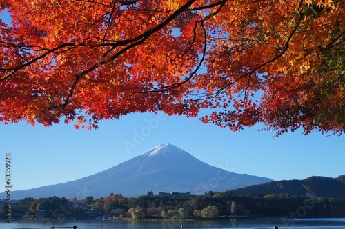 紅葉と富士山 © omega2000
