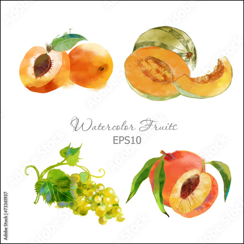 apricot,melon,grape,peach,