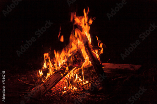 Obraz na plátne Bonfire at night