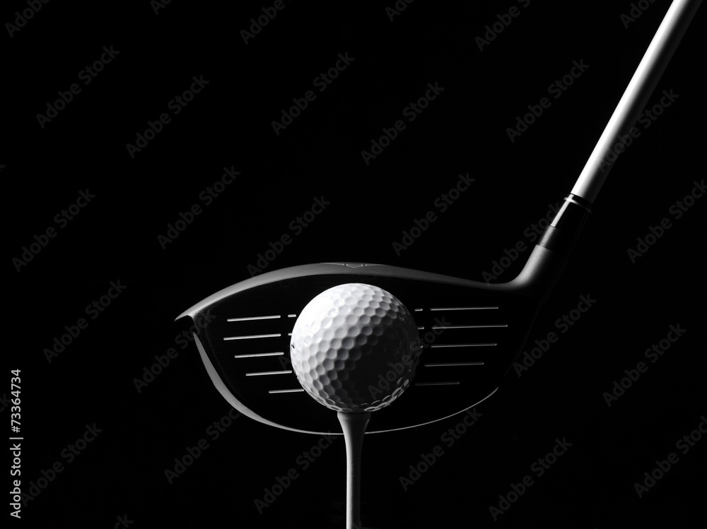 Golf Wood with a Golf Ball and Golf Tee - obrazy, fototapety, plakaty 