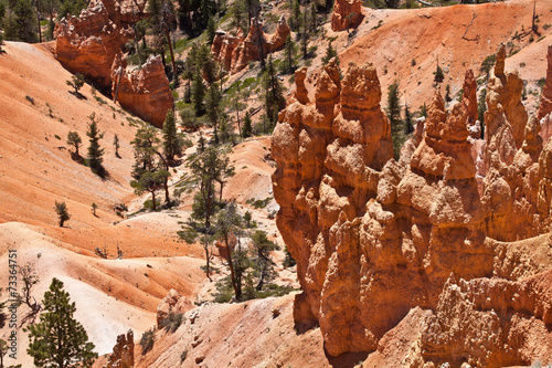 USA - Bryce canyon photo