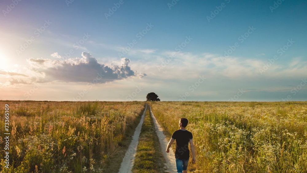 The man walks by path in the wheat field, sunset The man walks by path in the wheat field, sunset