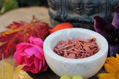 Altar Gätterfigur Ganesha mit rotem Sandelholz und Blumen photo