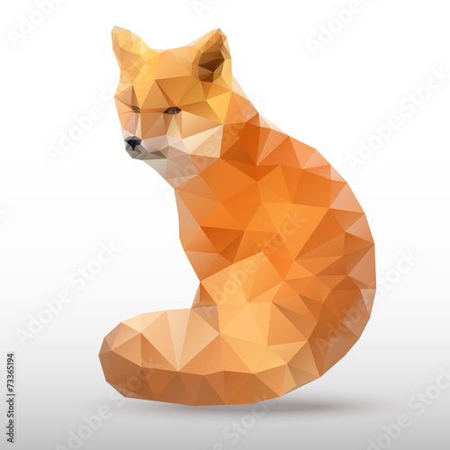 Photography abstract polygonal Fox