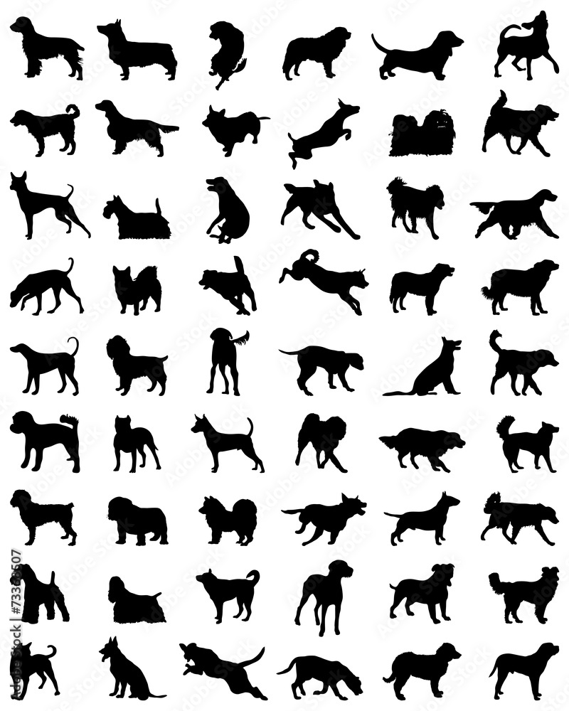 Different black silhouettes of dogs, vector Different black silhouettes of dogs, vector