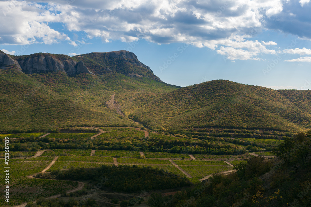 Fototapeta premium landscape with yellow and green trees against mountains and the