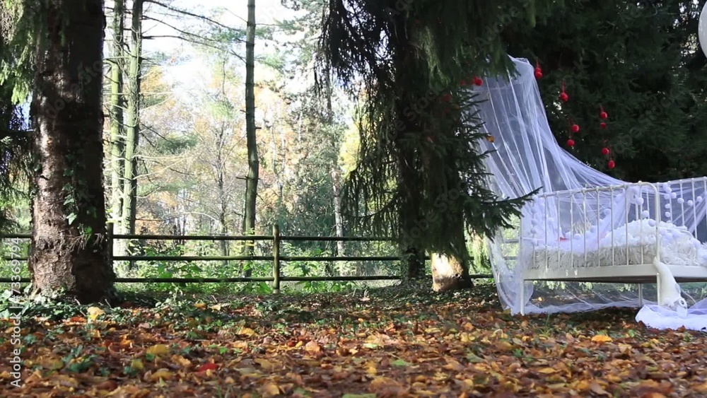 White cot in a autumnal wood