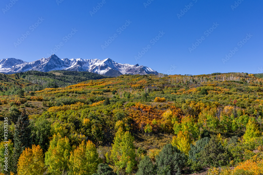 Colorado Mountain Landscape in Fall