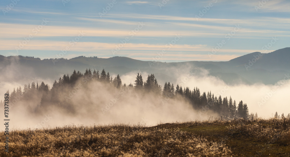 Fog covering the mountain forests Fog covering the mountain forests