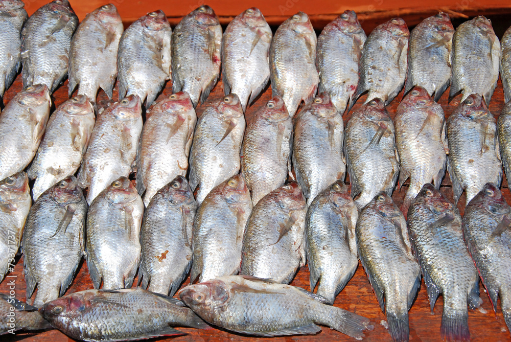 The market of the Village of Pomerini - Fish Market - Tanzania The market of the Village of Pomerini - Fish Market - Tanzania