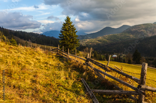 Fog covering the mountain forests