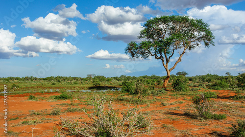 Landschaft in Tsavo, Kenia photo