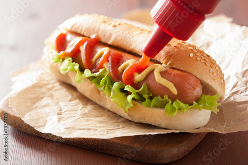 Fotografie, Obraz hot dog with ketchup mustard and lettuce