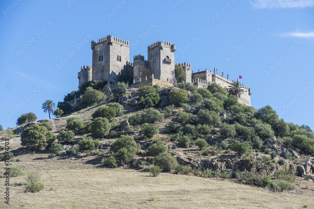 Almodovar del Rio Castle, Cordoba, Andalusia, Spain.