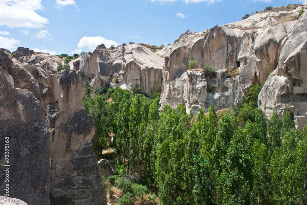 Naklejka premium Unusual landscape in Cappadocia