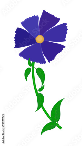 Dark Blue Flower