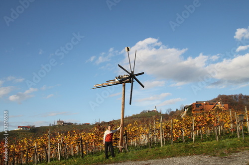 Herbst im Weingarten 16 photo