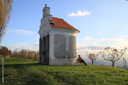 Herbst im Weingarten 4 photo