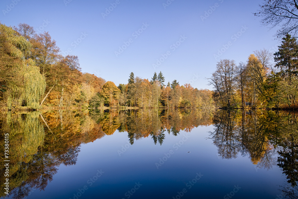 panorama of autumn trees at a glassy lake panorama of autumn trees at a glassy lake